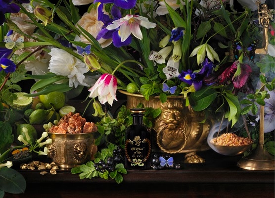 The Alchemist’s Garden